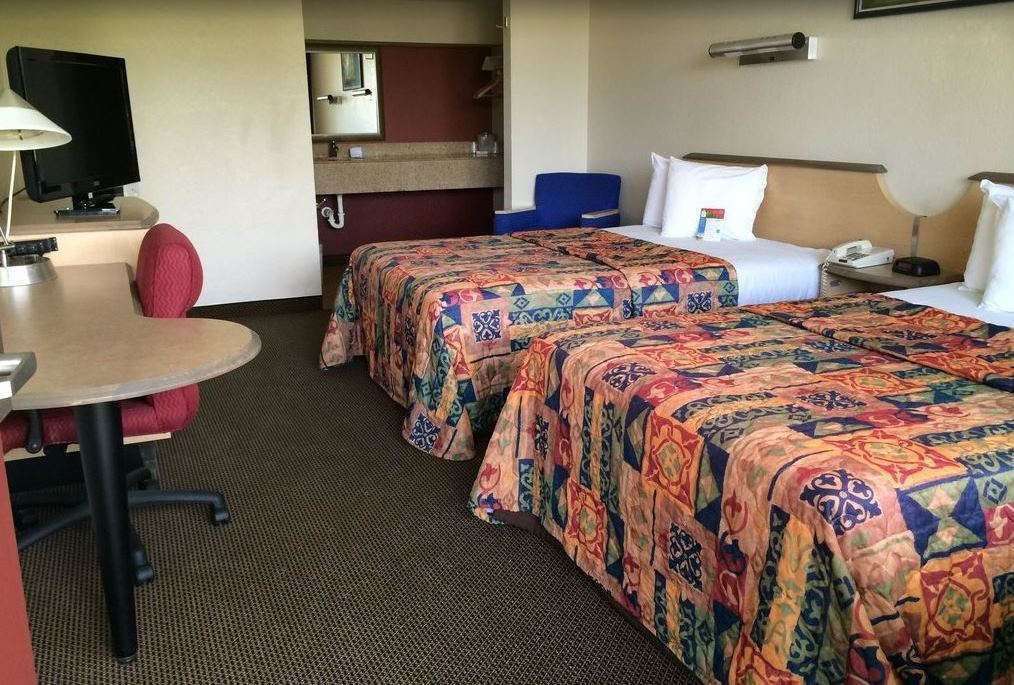 Econo Lodge Palm Harbor - Clearwater Habitación foto